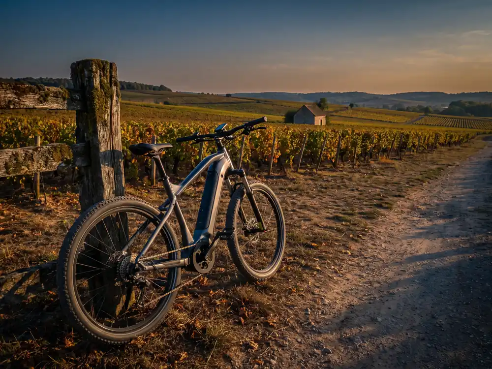 E-Bike an einem Holzzaun neben einem Feldweg zwischen Weinbergen
